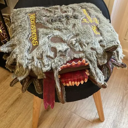 Appartamento  harry Potter   Décors, Centre Historique Digione