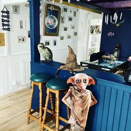 Magique Des Sorciers , Centre Historique * Dijon