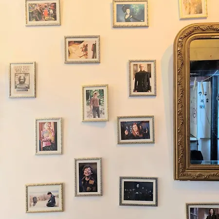 Magique Des Sorciers , Centre Historique * Dijon