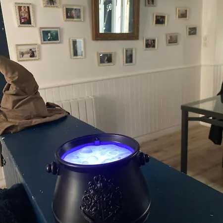 Magique Des Sorciers , Centre Historique Dijon