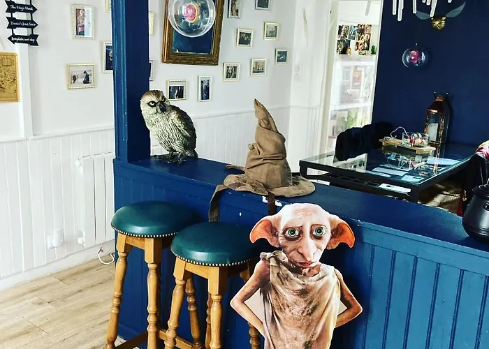 Magique Des Sorciers , Centre Historique * ディジョン