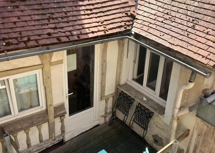 Magique Des Sorciers , Centre Historique Dijon