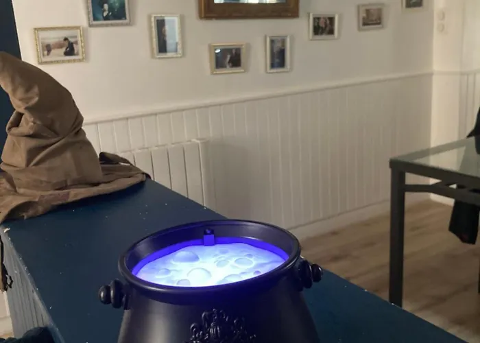 Magique Des Sorciers , Centre Historique ディジョン