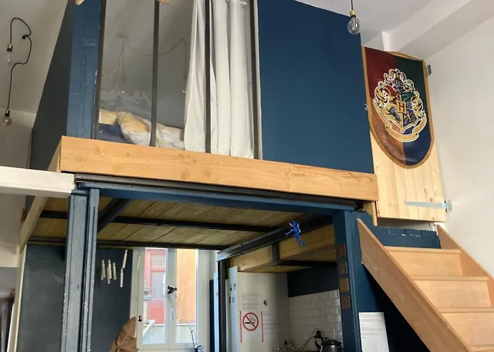 Magique Des Sorciers , Centre Historique * ディジョン